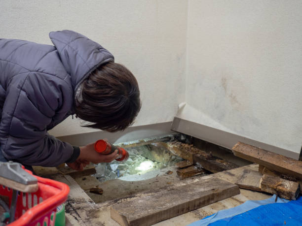 Best Commercial Mold Inspection  in Genoa, AR