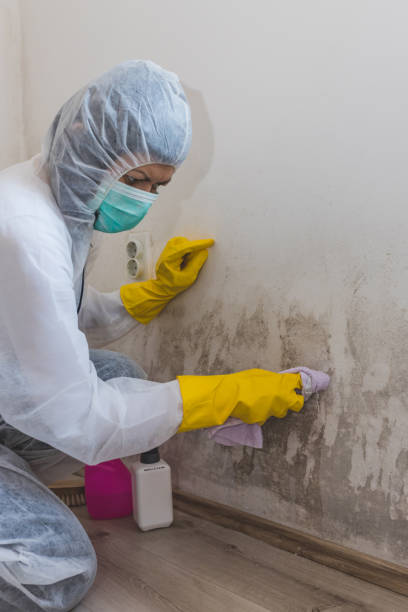 Best HVAC Mold Inspection and Cleaning  in Genoa, AR
