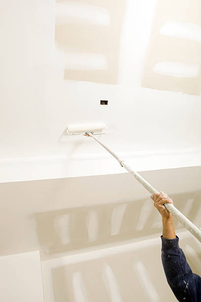 Best Basement Mold Removal  in Genoa, AR