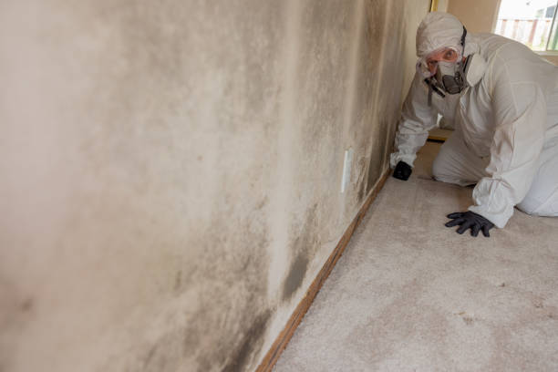 Best Post-Construction Mold Inspection  in Genoa, AR